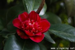 岳麓區(qū)網(wǎng)站專業(yè)建設的未來發(fā)展？